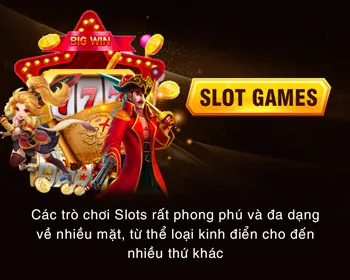 Cấp độ VIP Đồng 333win bet